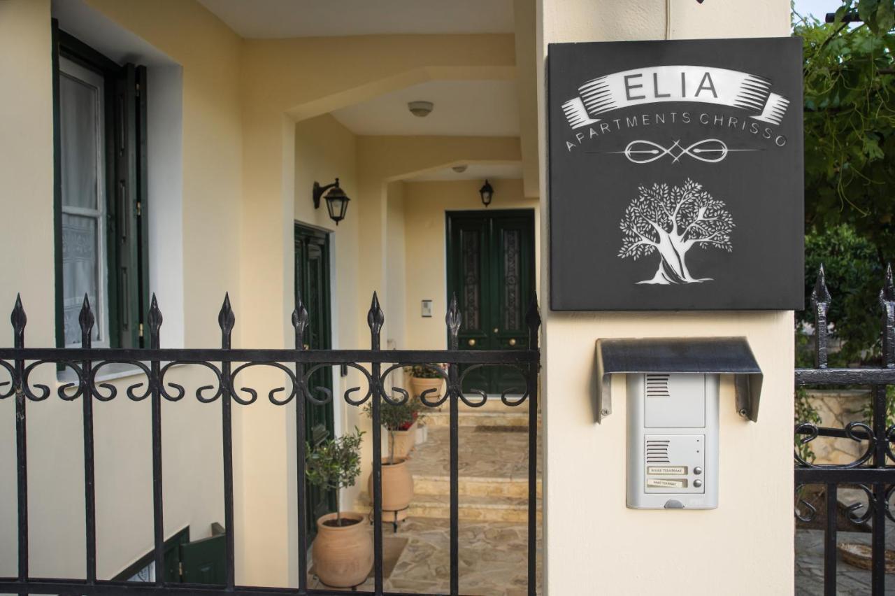 Elia Apartments Chrisso Delphi Bagian luar foto