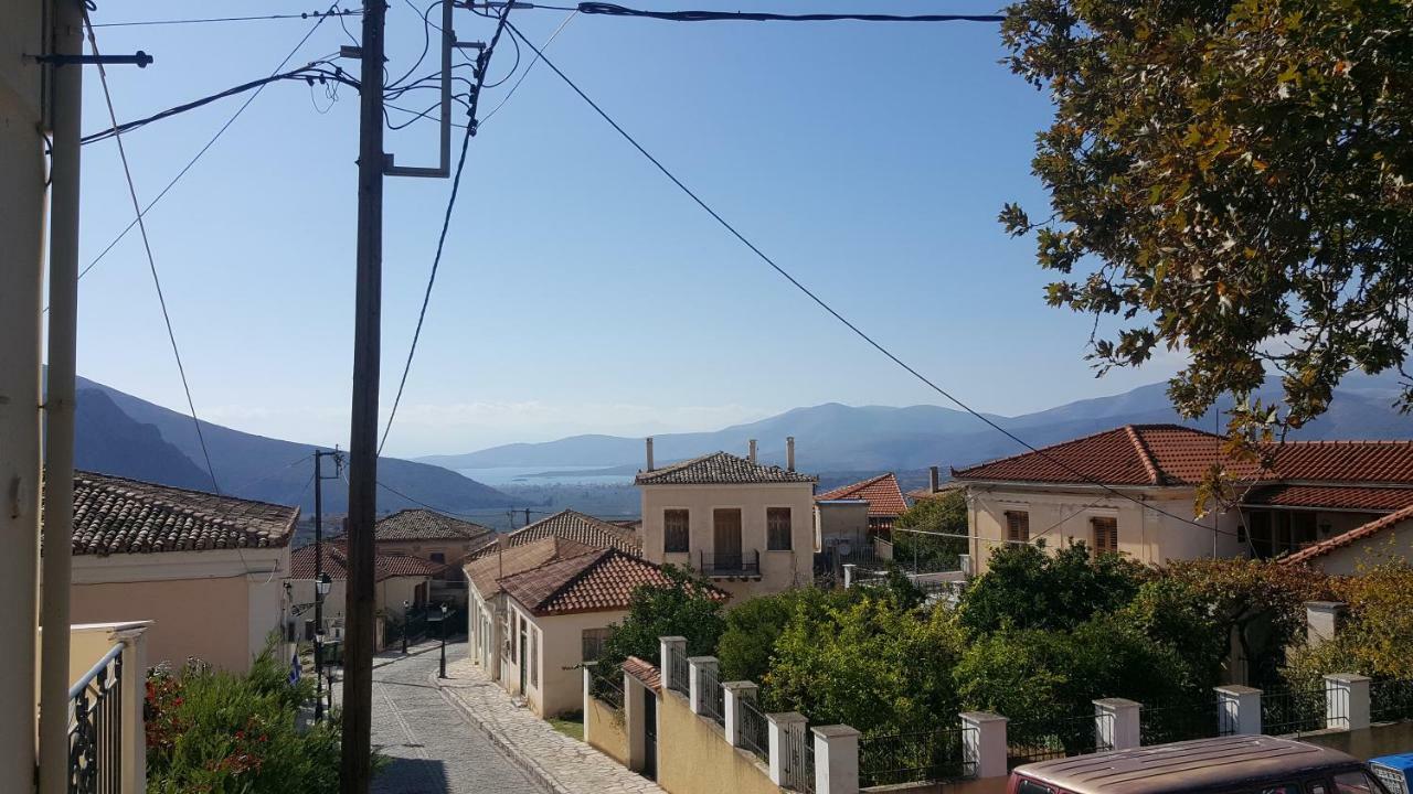 Elia Apartments Chrisso Delphi Bagian luar foto